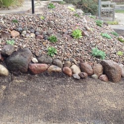 Für Trockenkünstler -einen Steingarten anlegen   