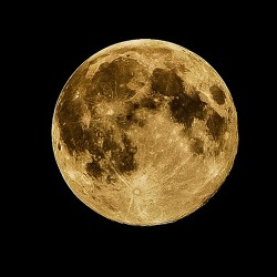 Gärtnern unterm Mond - sinnvolle Berücksichtigung von besonderen Konstellationen zwischen Sonne, Mond und Planeten
