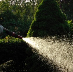 Klimagerechte Bewässerung im Haus- und Kleingarten